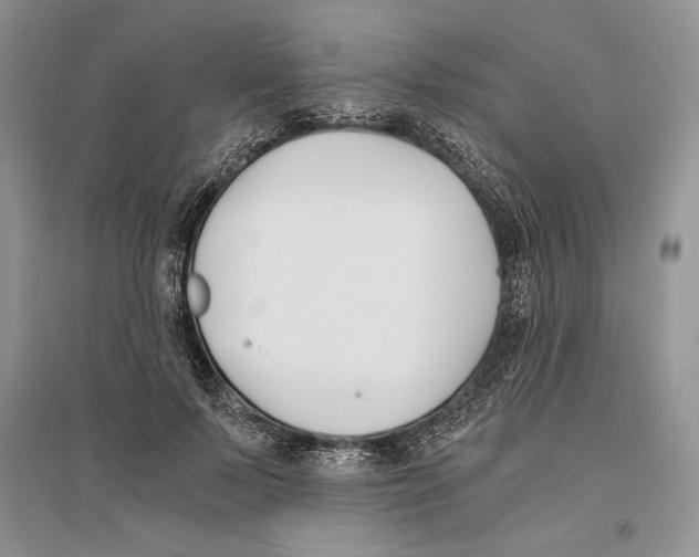 X0000096200695200802151526