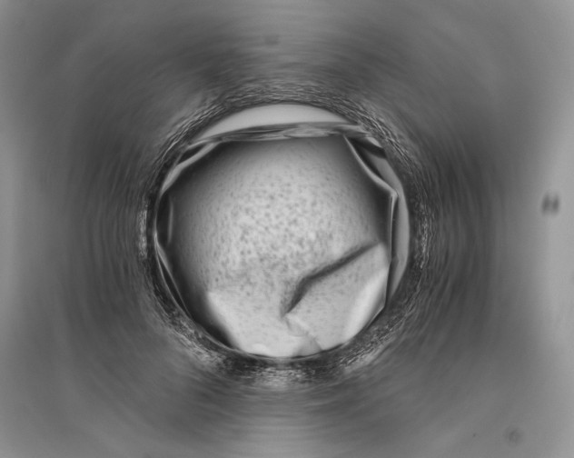 X0000096200696200802151526