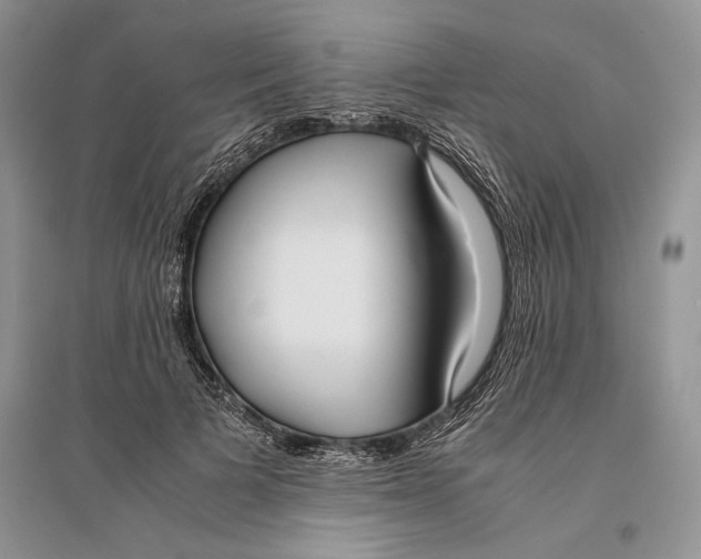 X0000096200697200802151526