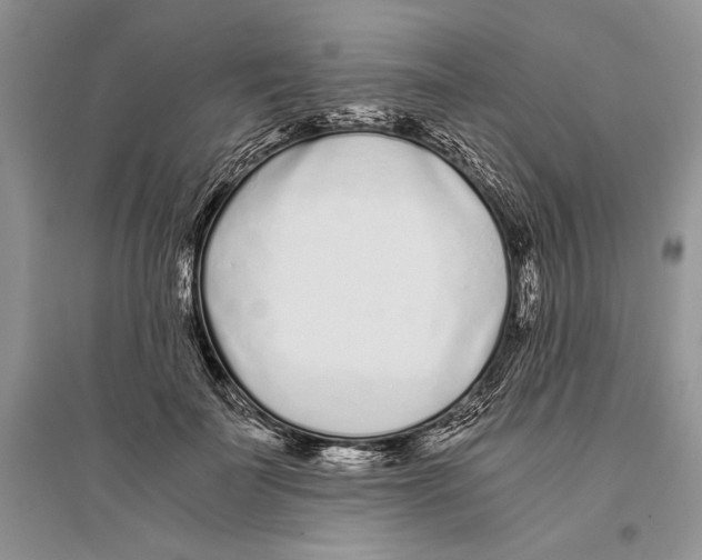 X0000096200699200802151526