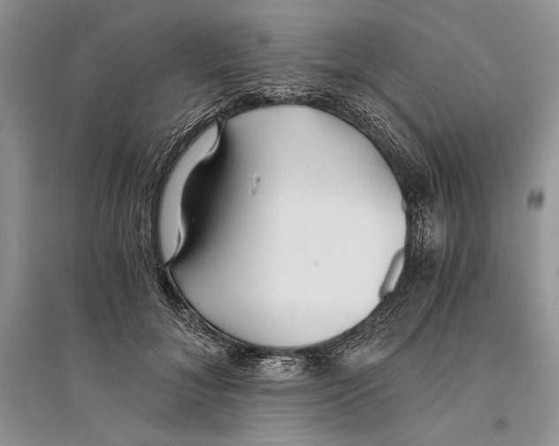 X0000096200700200802151526