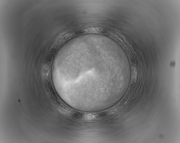 X0000096200701200802151526