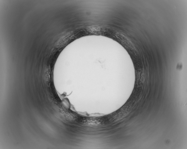 X0000096200702200802151526