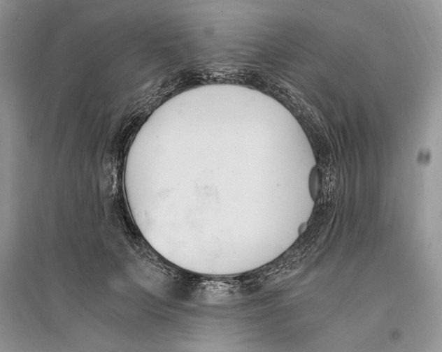 X0000096200703200802151526