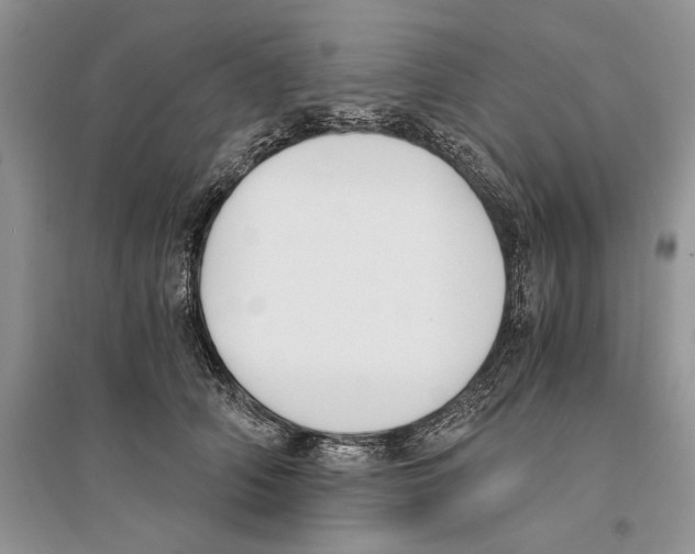 X0000096200706200802151526