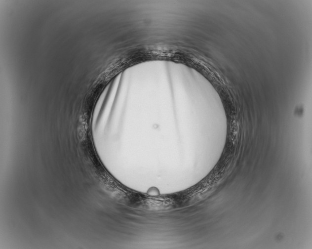 X0000096200707200802151526