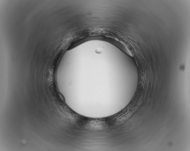 X0000096200708200802151526