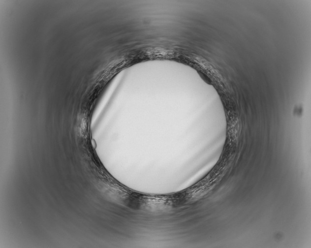 X0000096200709200802151526