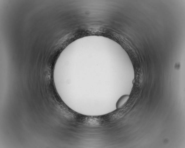 X0000096200710200802151526