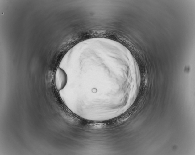 X0000096200711200802151526