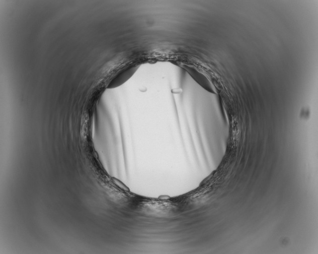 X0000096200712200802151526