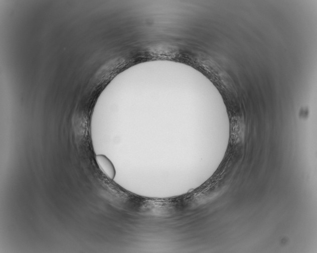 X0000096200713200802151526