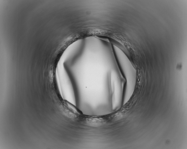 X0000096200716200802151526