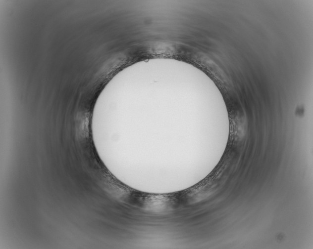 X0000096200717200802151526