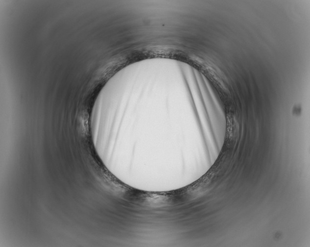 X0000096200718200802151526