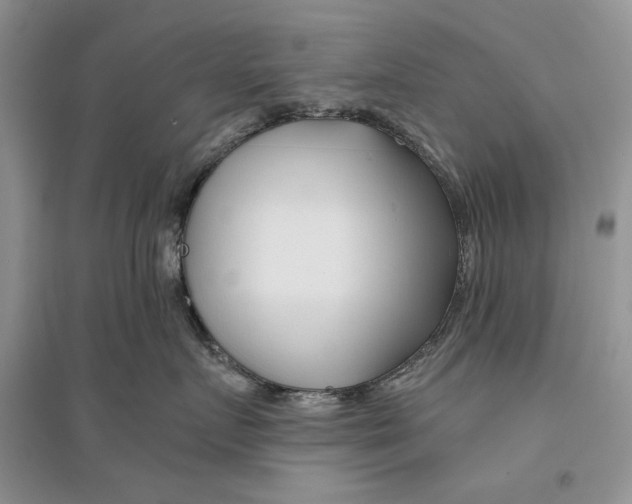 X0000096200719200802151526