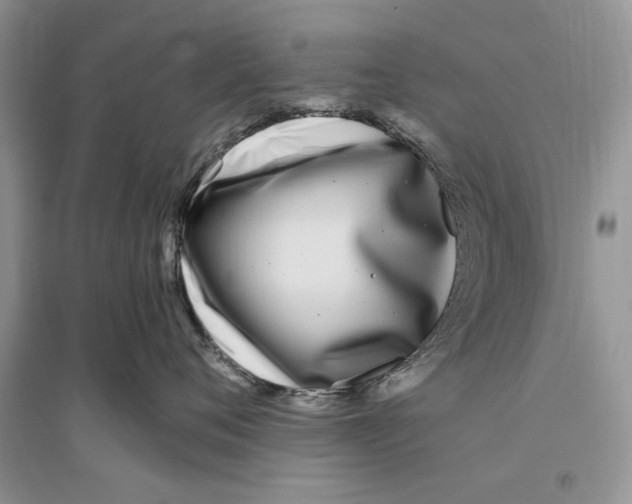 X0000096200720200802151526