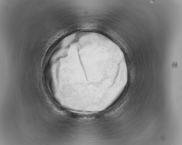 X0000096200721200802151525