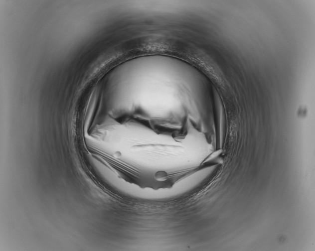 X0000096200722200802151525