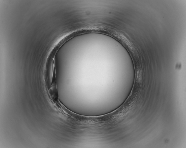 X0000096200724200802151525