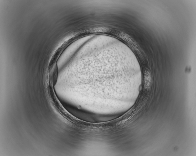 X0000096200726200802151525