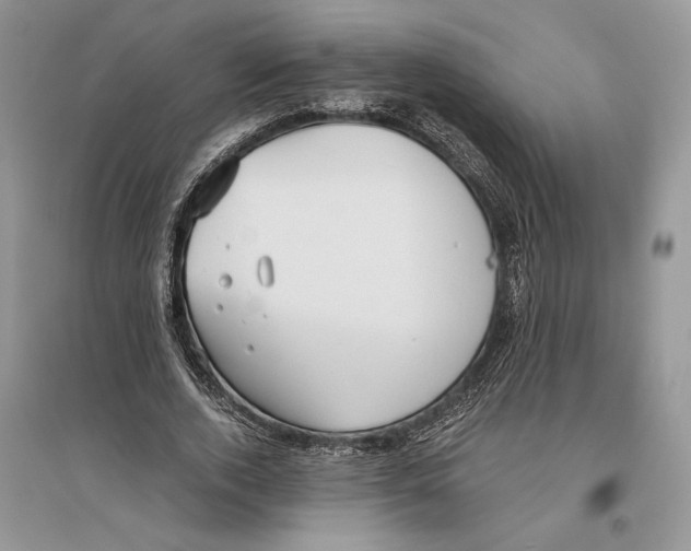 X0000096200728200802151525