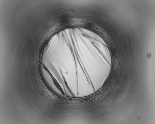 X0000096200729200802151525