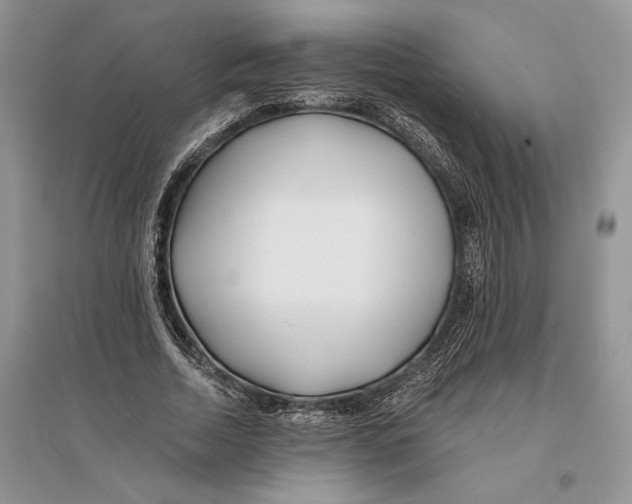 X0000096200730200802151525