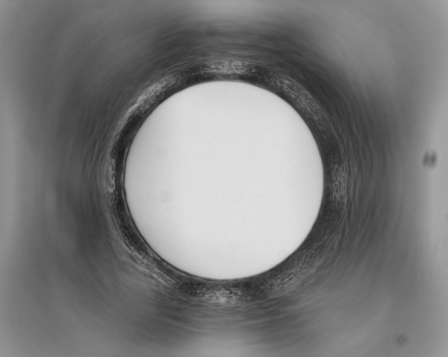 X0000096200731200802151525