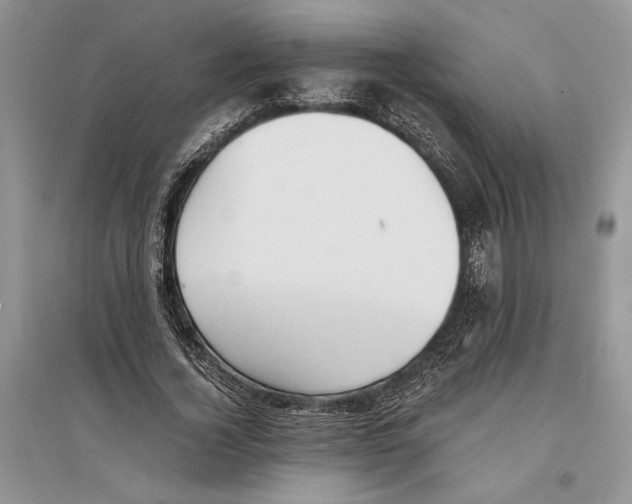 X0000096200732200802151525