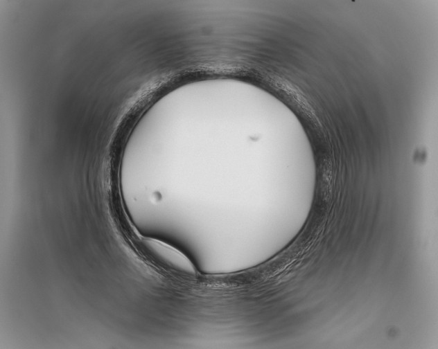 X0000096200734200802151525