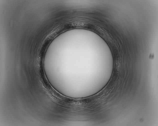 X0000096200735200802151525