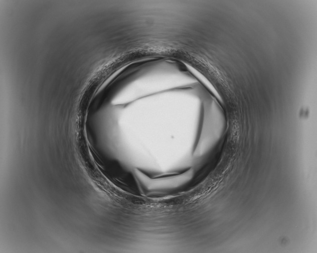 X0000096200736200802151525