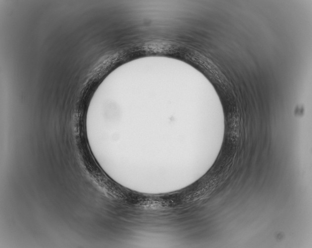 X0000096200738200802151525