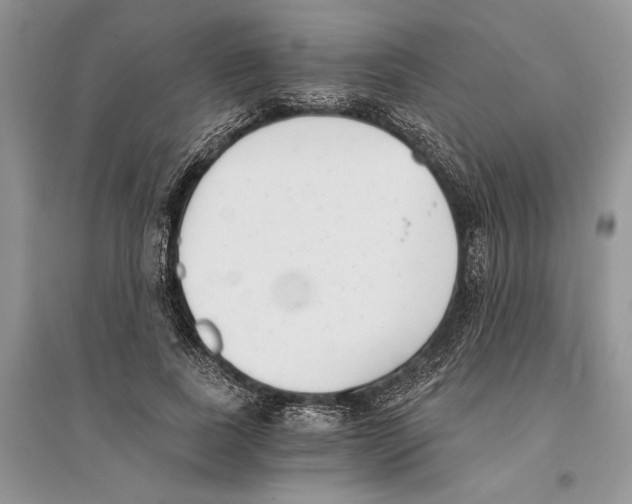 X0000096200739200802151525