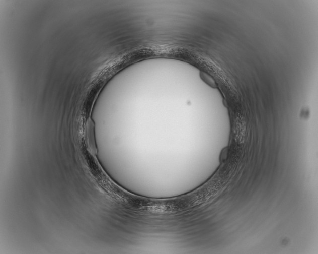 X0000096200740200802151525