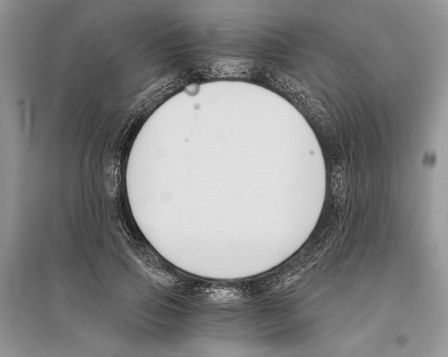 X0000096200741200802151525