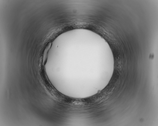 X0000096200742200802151525