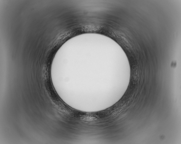 X0000096200743200802151525