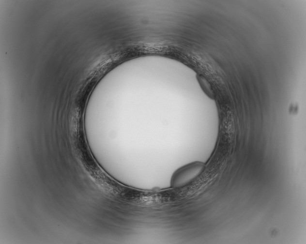 X0000096200744200802151525