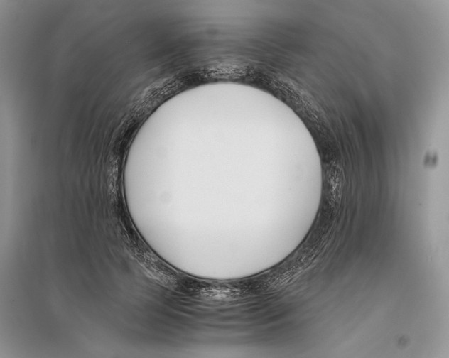 X0000096200745200802151525