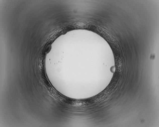 X0000096200746200802151525