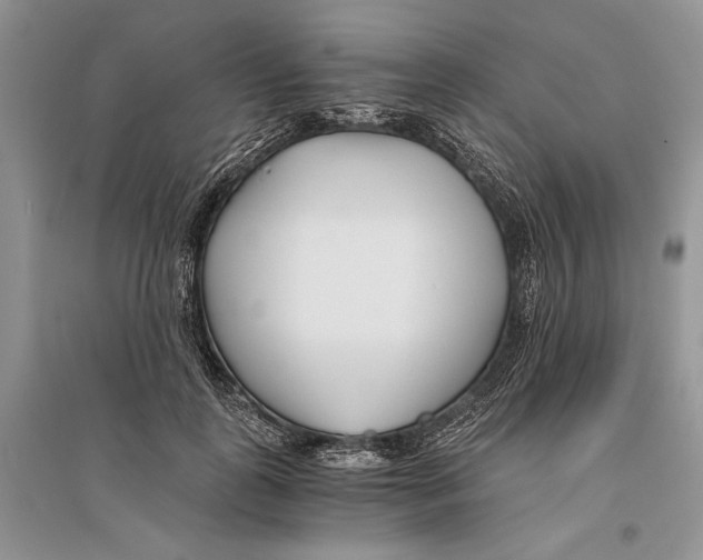 X0000096200747200802151525