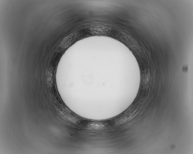 X0000096200749200802151525