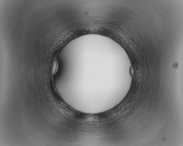 X0000096200750200802151525