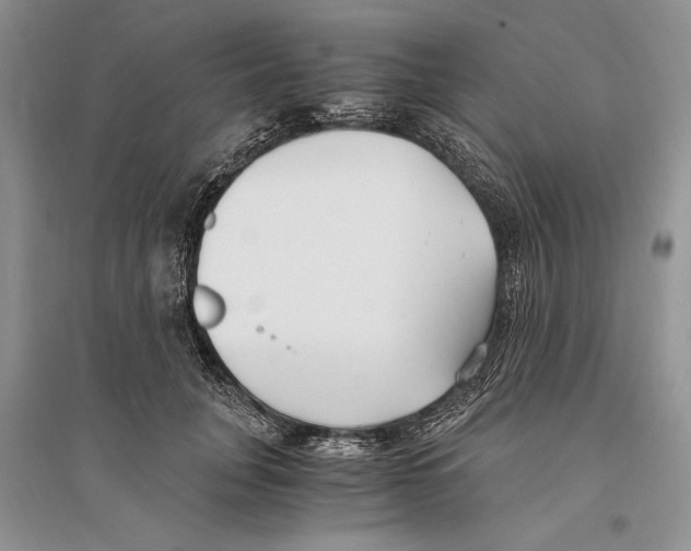 X0000096200751200802151525