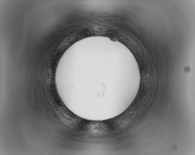 X0000096200752200802151525