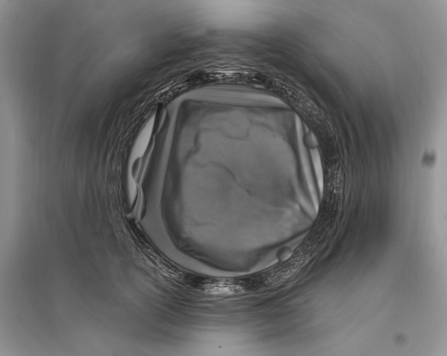 X0000096200754200802151525