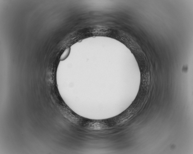 X0000096200755200802151525