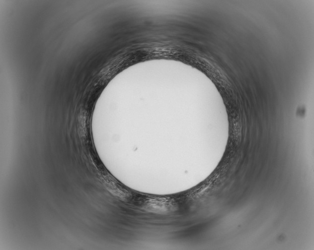 X0000096200757200802151525